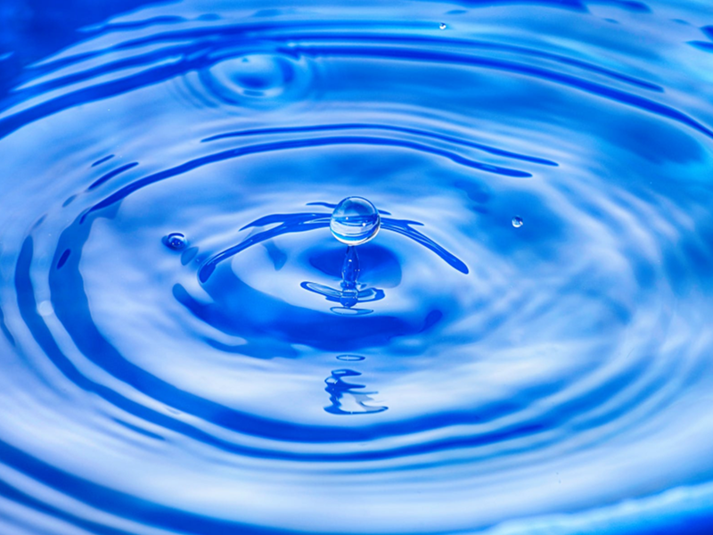 生物毒性水質(zhì)在線監(jiān)測儀