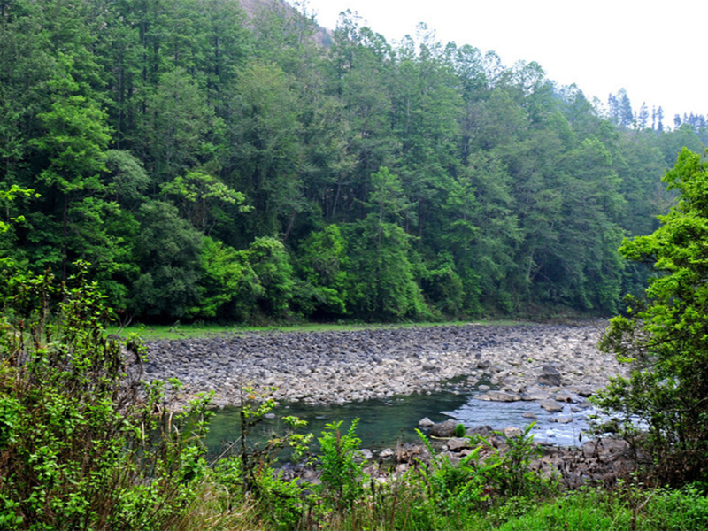 山西污水處理廠氨氮排放標準