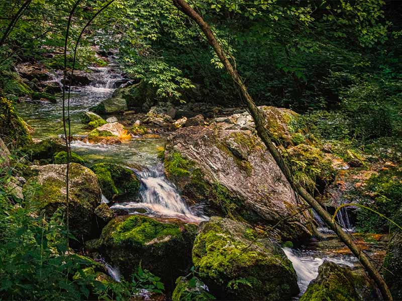 水產(chǎn)養(yǎng)殖二氧化氯的正確用法