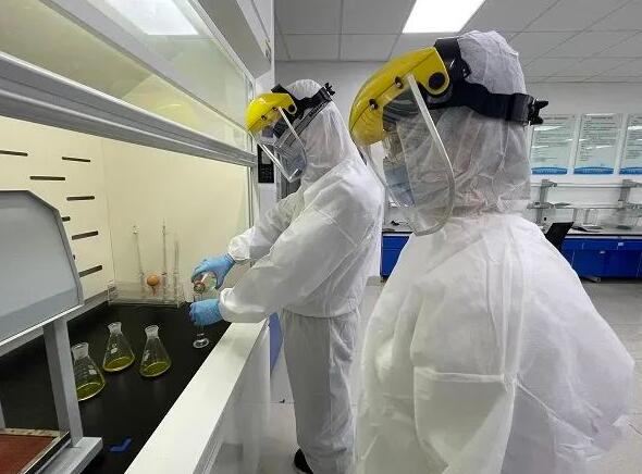 污水廠是如何運(yùn)行的