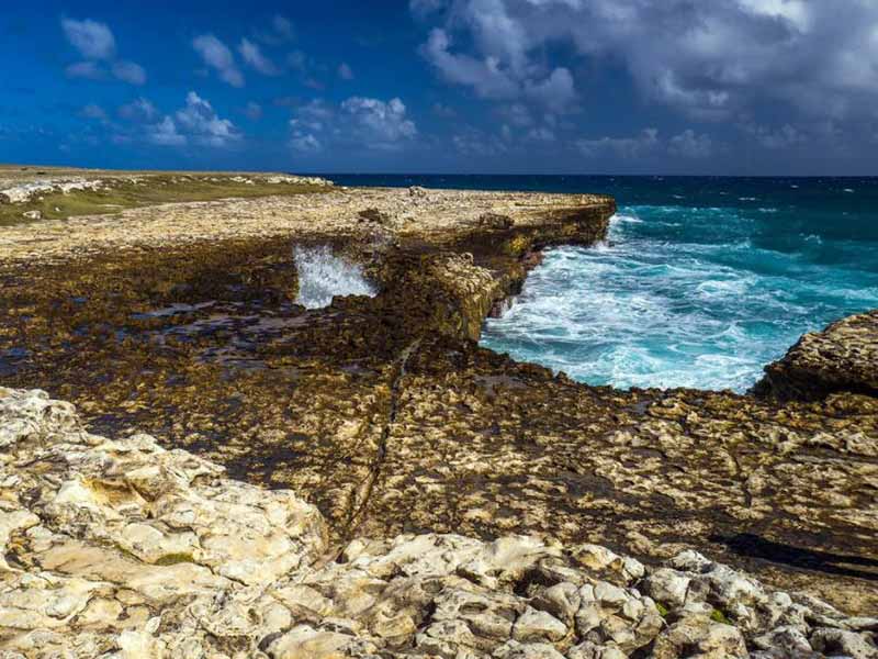 水質(zhì)COD檢測(cè)常見(jiàn)的問(wèn)題有哪些