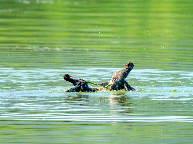 長江黃河流域地表水水質(zhì)檢測結(jié)果公示