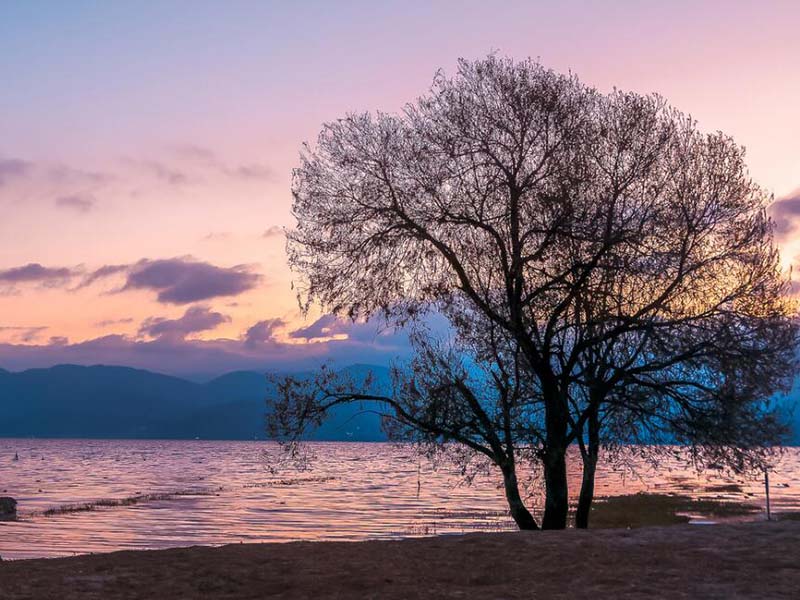水質(zhì)BOD檢測(cè)儀如何使用