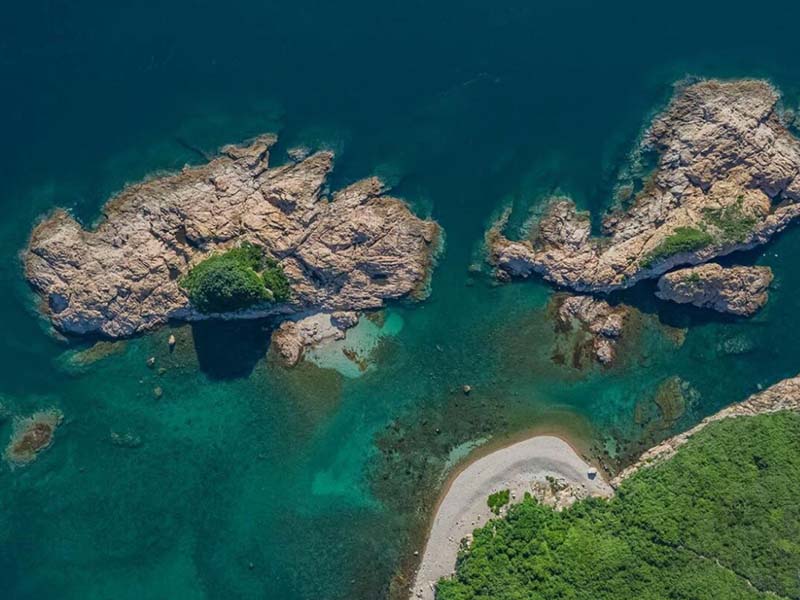 污水什么情況下氨氮比總氮高