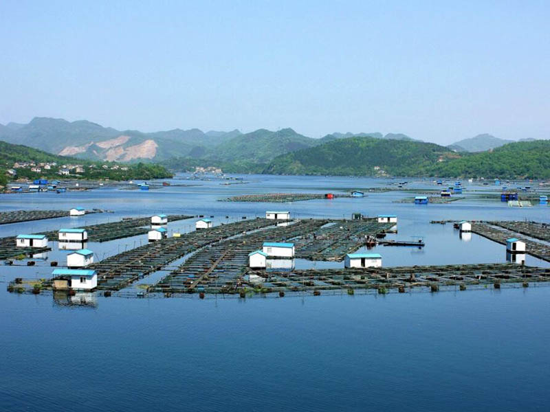 水產(chǎn)養(yǎng)殖需要檢測哪些水質(zhì)指標(biāo)