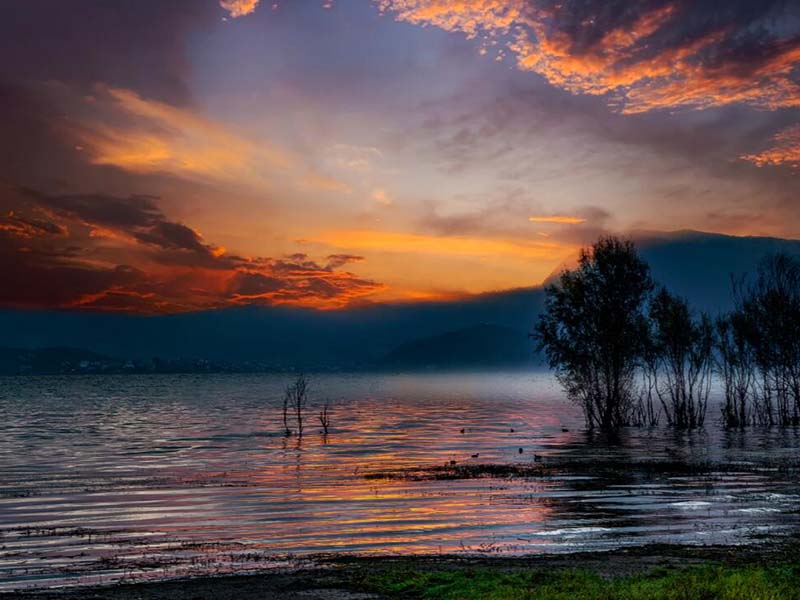 【解答】知道COD含量，如何確定BOD稀釋倍數(shù)? 