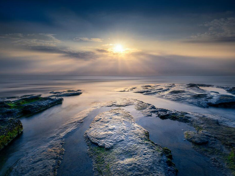 什么是全自動(dòng)紅外測(cè)油儀