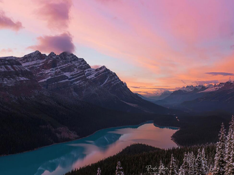 COD在線分析儀硬件故障分析