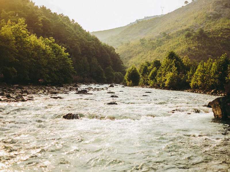 水中溶解氧測定的影響因素