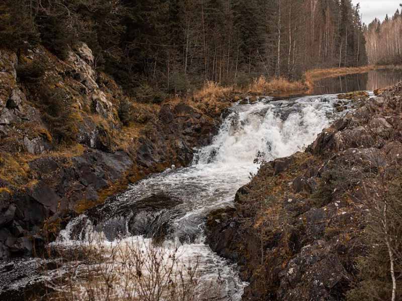 水質(zhì)微生物檢測儀功能