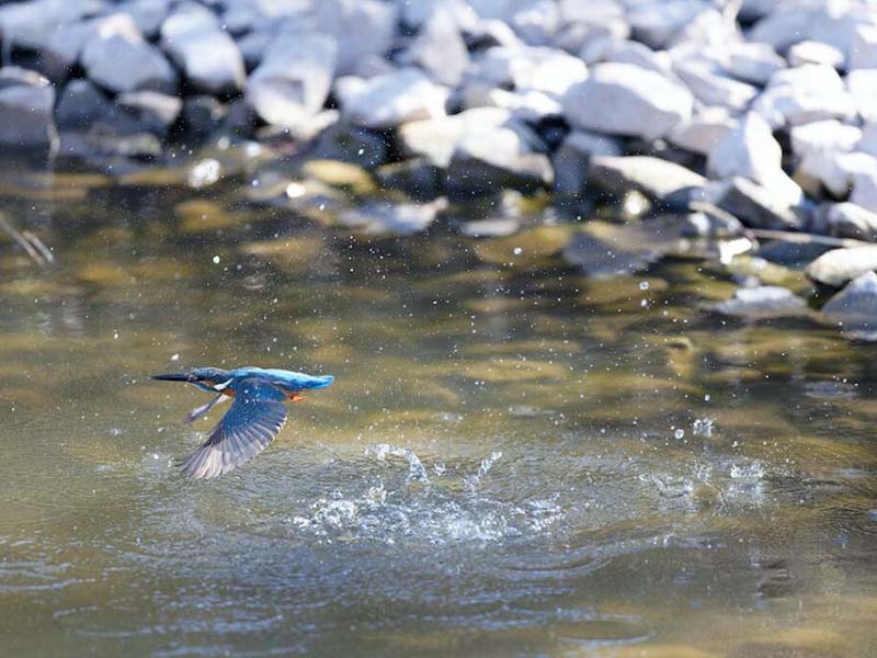 總磷分析儀測量原理