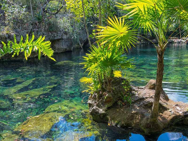 氨氮在線監(jiān)測(cè)設(shè)備測(cè)量值為零的原因