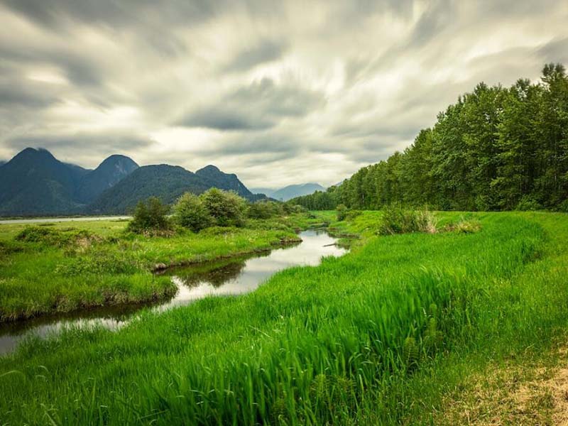 污水氨氮濃度如何測定