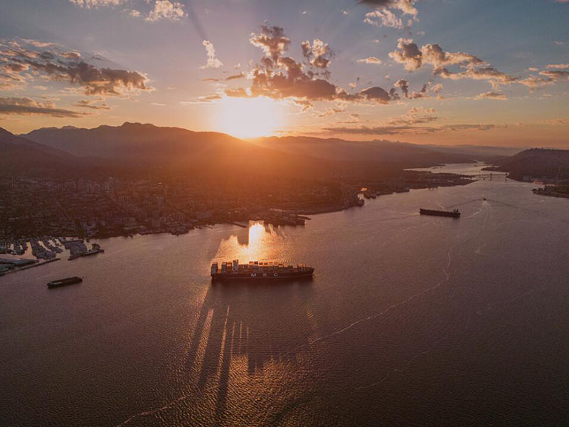 TOC分析儀工作原理