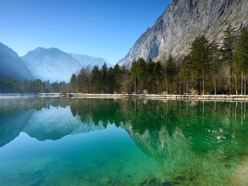 水生態(tài)系統(tǒng)中的藻類和水華是什么