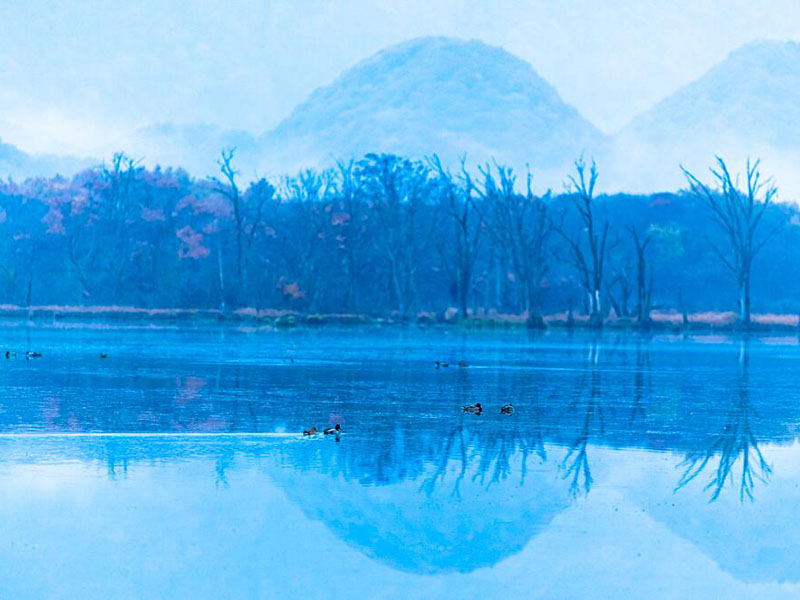 水質(zhì)總有機碳分析儀的用途