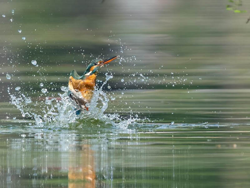 總氮測(cè)定儀正確測(cè)定步驟