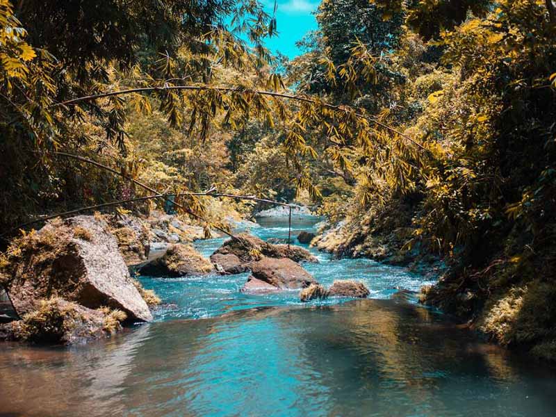 全自動(dòng)凱氏定氮儀工作原理