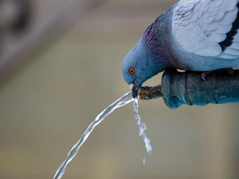 濁度在線分析儀使用方法