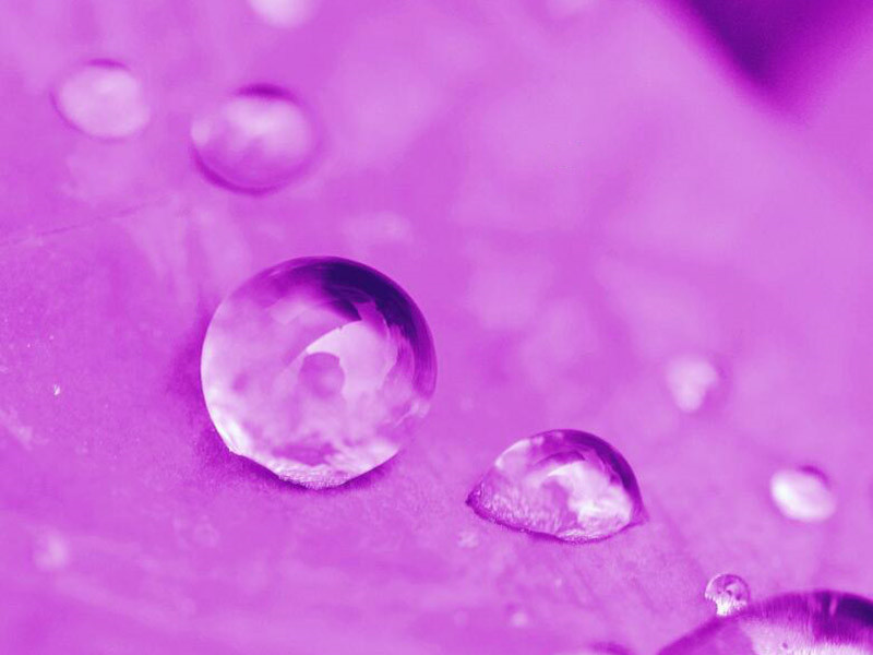 水質(zhì)總氮檢測儀使用注意事項