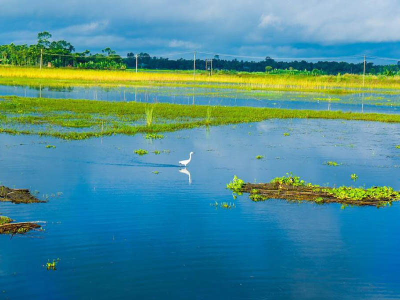 江西省鄱陽湖流域總磷污染防治辦法