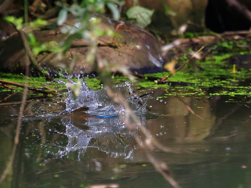 水的硬度是什么