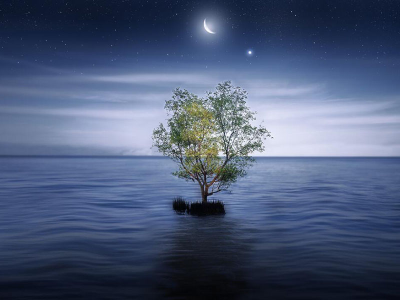 水質(zhì)重金屬砷檢測標(biāo)準(zhǔn)