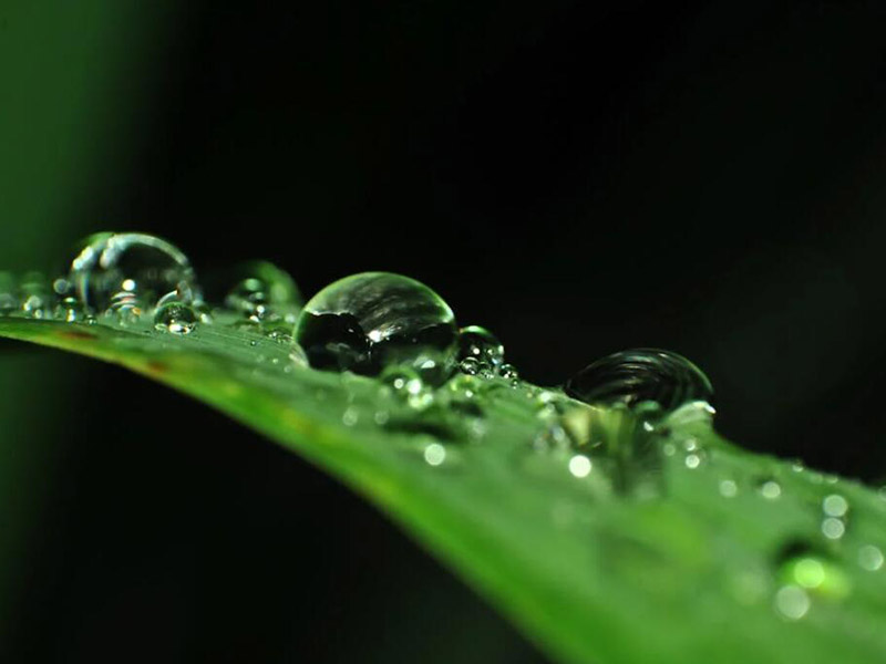 水質(zhì)檢測包括哪些水體