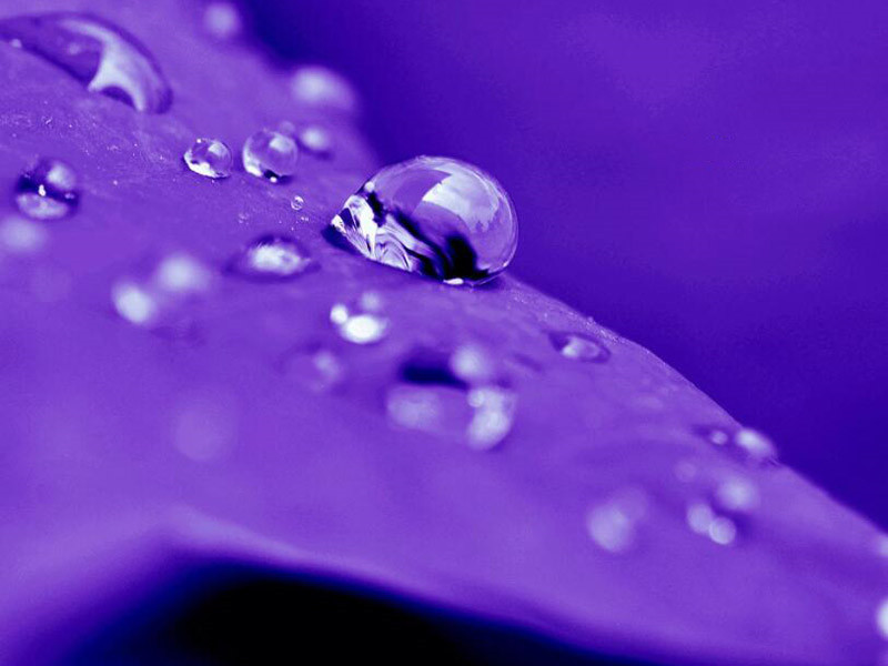 在線溶解氧分析儀使用方法