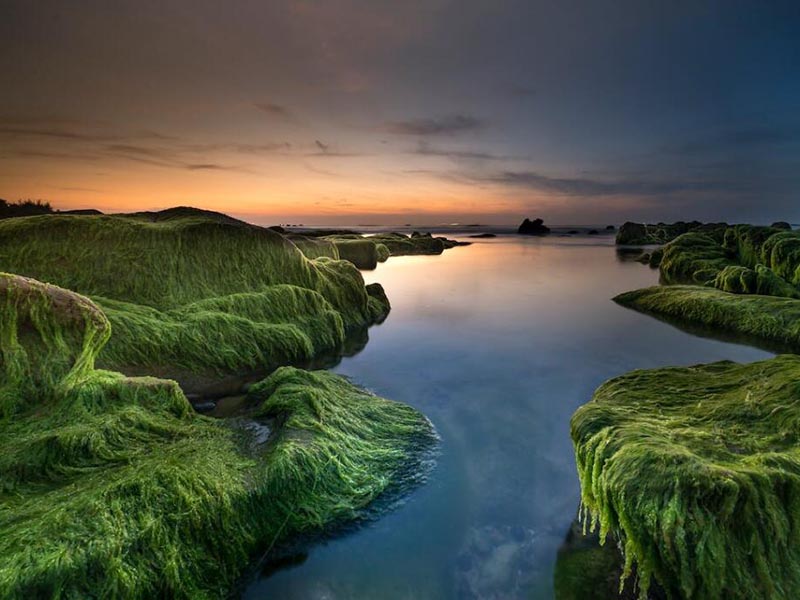 氨氮在線監(jiān)測儀數(shù)據(jù)偏低的原因